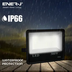 LED SMD Non PIR Floodlight IP65 400W 40000Lm, 6000K