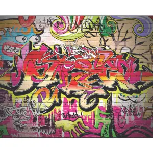 Origin Murals City Graffiti Wall Multi Matt Smooth Paste the Wall Mural 300cm Wide X 240cm High