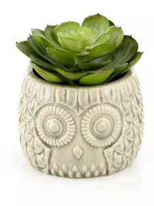 Fiori Large Succulent in Grey Ceramic Owl Pot Artificial Plant Foliage