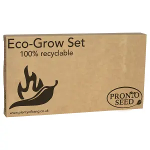 Pronto Seed Grow Your Own Chilli Plants Kit - 5 Chilli Seed Varieties - Gardening Gifts for Men and Women