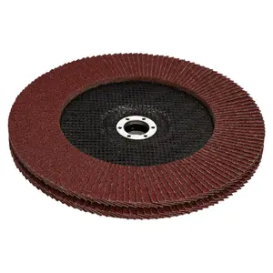 40 Grit Flap Discs Sanding Grinding Rust removing for 9" (230mm) Grinders 6 Pack