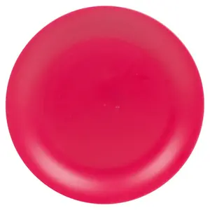 Teal  6 Pcs Unbreakable Reusable Coloured Plastic Dinner Plates Kids Party Tableware Fuschia