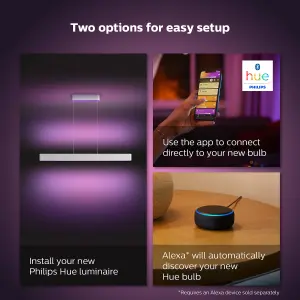 Philips Hue White and Colour Ambiance Ensis pendant light white
