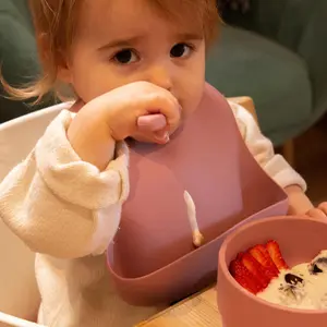 Tiny Dining - Baby Silicone Suction Weaning Set - Dusty Rose - 4pc