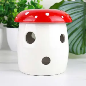 Mushroom Grow Planter Starter Kit