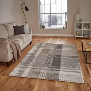 Think Rugs Beige And Grey Elegant 4892 Rug, Country, Size: 120cm X 170cm (4ft X 5.5Ft)