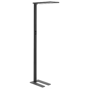 Metal LED Floor Lamp Black ORION