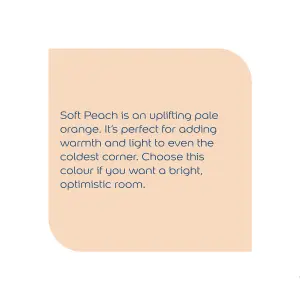 Dulux Walls & ceilings Soft peach Silk Emulsion paint, 2.5L