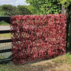 True Products Expanding Willow Trellis Fence with Artificial Red Acer Leaf Plants Garden Wall Screening