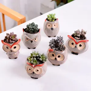 simpa 6PC Comic Owl Ceramic Plant Pots with Bamboo Base