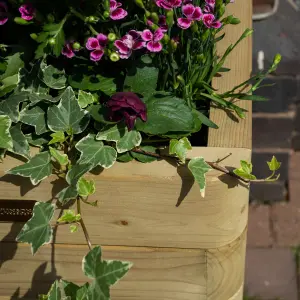 Rowlinson Marbery Tall Planter