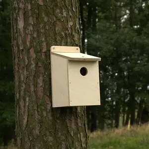 Bird Box Kit with 32mm Hole - Plywood - L15 x W13 x H23 cm