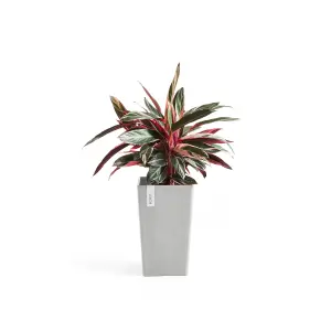 Rotterdam Medium Tall Vase Ecopots