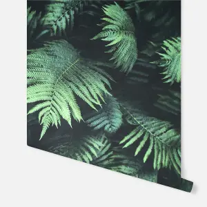 Arthouse Fern Wall Green Wallpaper