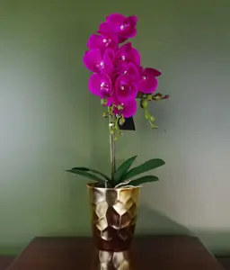 Artificial Orchid Plant Dark Pink Gold Pot 54cm Botanik