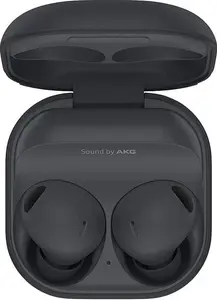 Samsung Galaxy Buds 2 Pro - Wireless Earphones Graphite