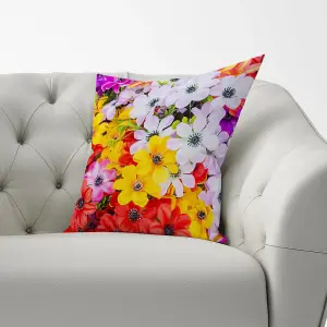 Spring Flowers Cushions 60cm x 60cm