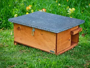 Green Feathers Handmade Wooden Hedgehog House - H27 x W28 x L50 cm