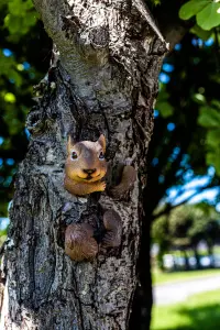 Squirrel Tree Peeker Garden Ornament