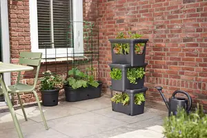 Elho Green Basics Stack & Grow Container Living Black