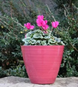 Recycled Plastic Planter Pot - 8" Savannah Pink