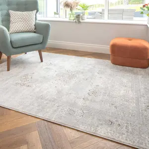 Silver Multicolour Distressed Bordered Medallion Area Rug 60x110cm