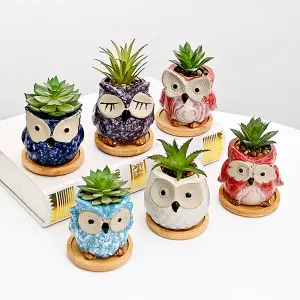 simpa 6PC Cartoon Owl Ceramic Plant Pots with Bamboo Base