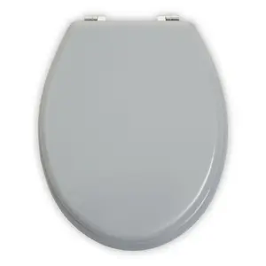 Maison by Premier Brooks Matte Grey Toilet Seat