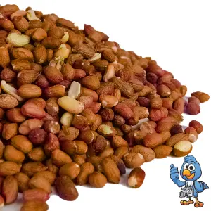 25kg BusyBeaks Whole Peanuts - Fresh Premium Wild Garden Bird Energy Seed Food Feed