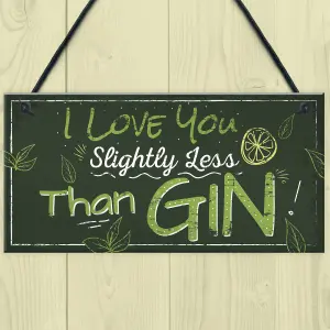 Red Ocean Novelty GIN Friendship Hanging Plaque