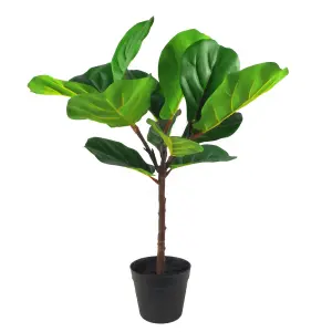 60cm Artificial Fiddle Fig Plant