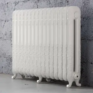 Arroll Daisy Cast iron White 15 Column Radiator, (W)1009mm x (H)794mm