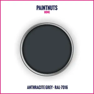 PaintNuts UPVC Door & Window Satin Paint - Anthracite Grey - 400ml Spray Can (RAL7016)