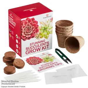 Gift Seed Grow Kit Stunning Succulents