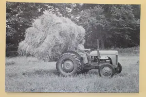 Garden Market Place Ferguson TE20 Tractor With Back Board of Straw - Canvas Picture Print- Black and White