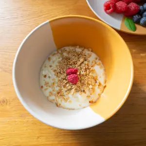 Dipped Stoneware Cereal Bowls - 16.5cm - Mustard - Pack of 4