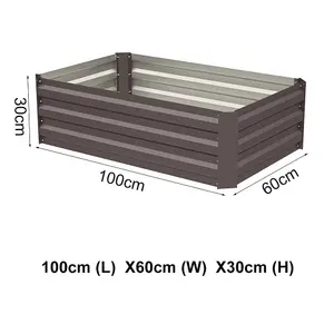 Rectangular Metal Raised Garden Bed Outdoor Raised Bed Seed Bed 100 cm W x 60 cm D