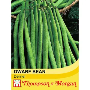 Dwarf Bean Delinel 1 Seed Packet (100 Seeds)