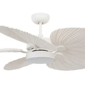 Natahsa 132cm Ceiling Fan with Light Kit White / White