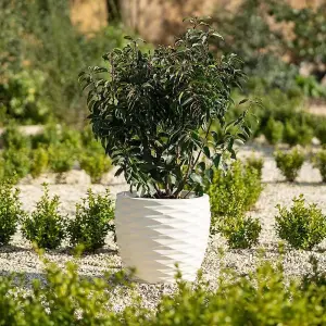 Primrose Plant Pot Round Bilbao Flower Pot Recycled Plastic Planter in Ivory Small 34cm