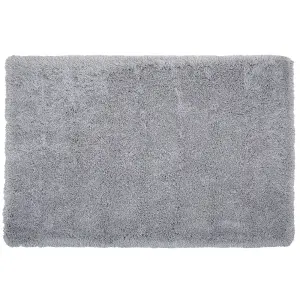 Shaggy Area Rug 200 x 300 cm Grey CIDE