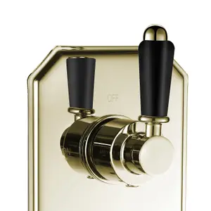 ENKI Regent English Gold Black Crosshead 2-Outlet Solid Brass Thermostatic Twin Shower Valve TSV040