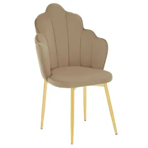 Interiors by Premier Tian Mink Velvet Chair