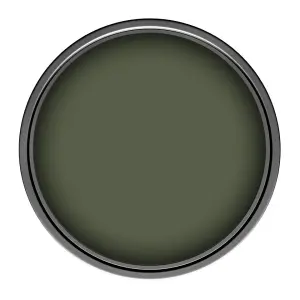 Leyland Trade Vinyl Soft Sheen Walls & Ceilings Emulsion Paint Olive Green (RAL 6003) - 5L