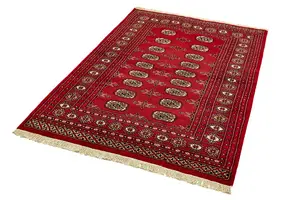 Red Traditional Bordered Floral Handmade Wool Rug for Living Room and Bedroom-180cm X 270cm