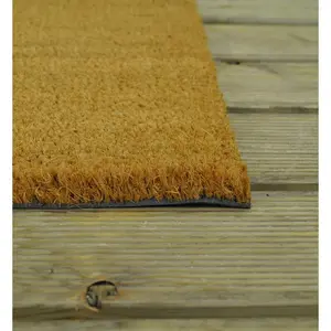 Sprouse Lavender Pots Coir Doormat