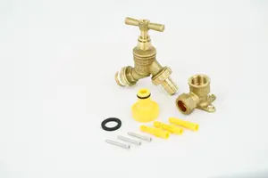 Warmer System Water Bibcock Tap 1/2 inch BSP with Brass Wall Plate Fixture