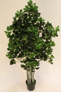 Garden Market Place Artificial Plants -Artificial Schefflera Umbrella Plant 1.6m Tall