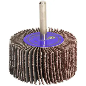 High-Performance 50mm Aluminium Oxide Flap Wheel with 6mm Shaft for Precision Sanding