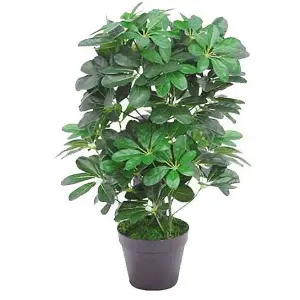 55cm Dark Green Artificial Schefflera Arboricola Plant